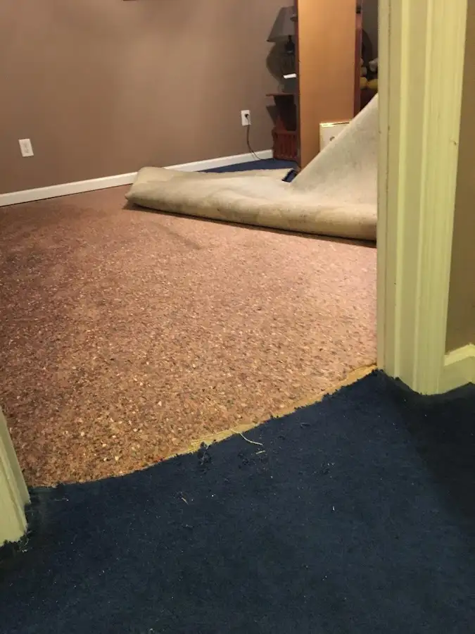 Carpet pad removal revealing water damage during Drying & Dehumidification in Dunbar